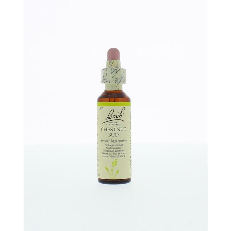 Bach Chestnut bud / kastanjeknop 20ml