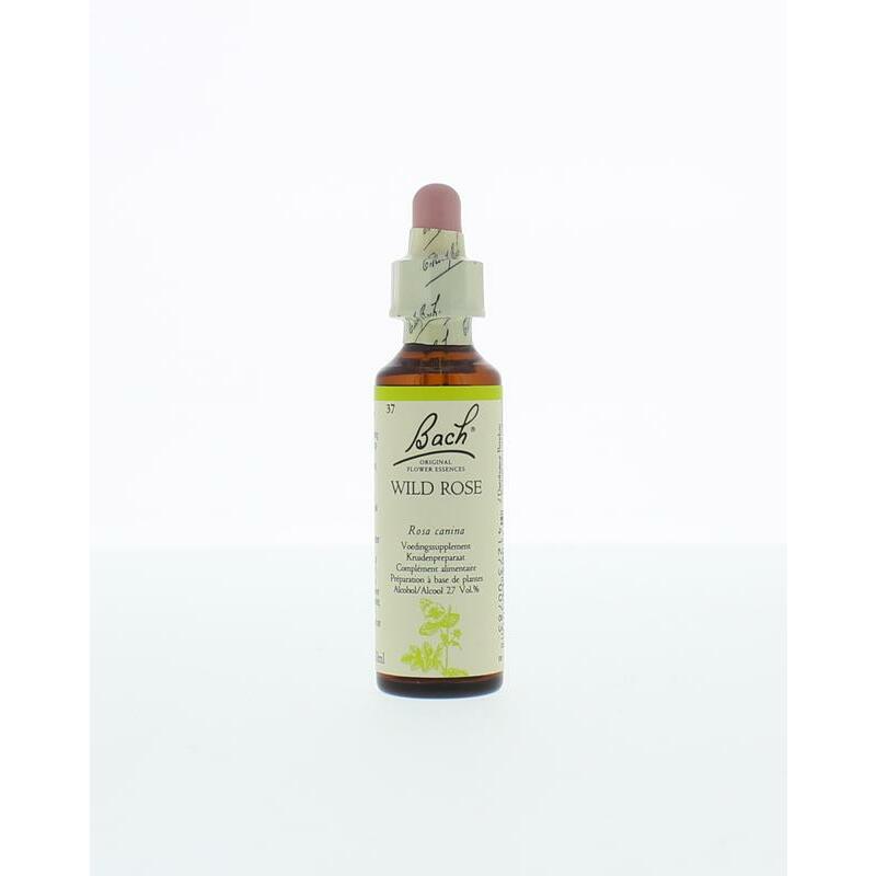 Bach Wild rose / hondsroos 20ml