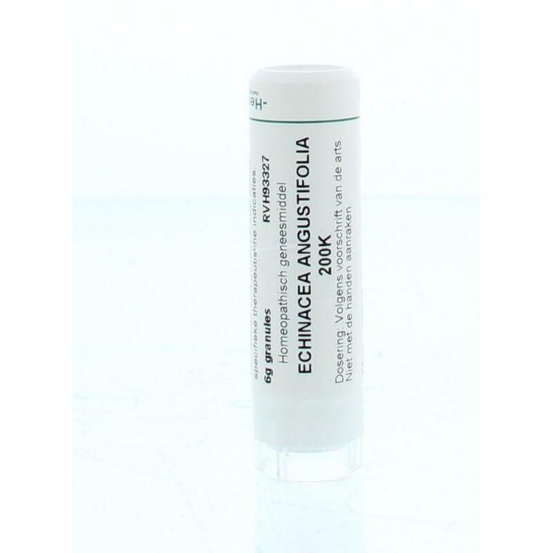 Homeoden Heel Echinacea angustifolia 200K 6g