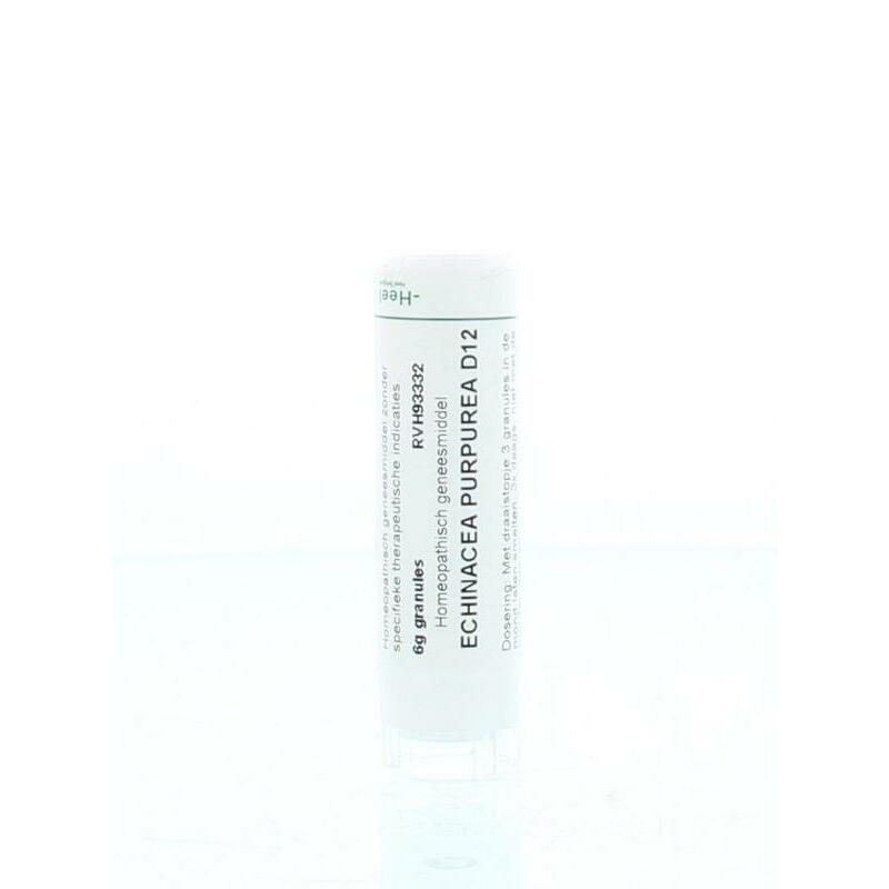 Homeoden Heel Echinacea purpurea D12 6g