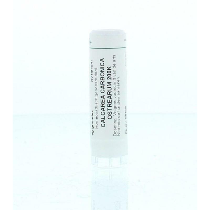 Homeoden Heel Calcarea carbonica ostrearum 200K 6g