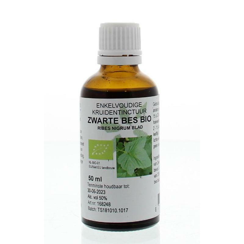 Natura Sanat Ribes nigrum / zwarte bes tinctuur bio 50ml