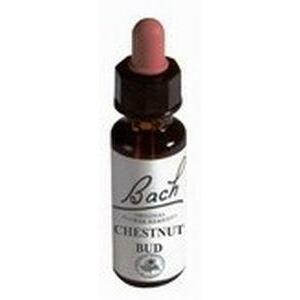 Alive BA07 Chestnut bud 50ml