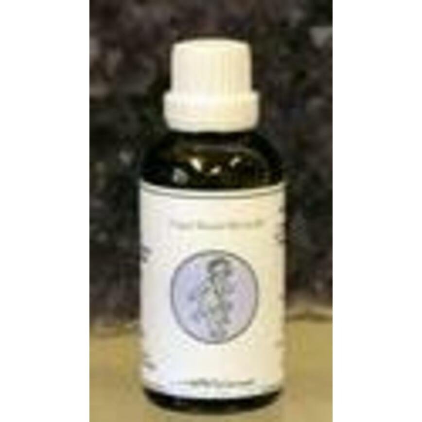 Alive ENG09 Engel uzziel voor vertrouwen 50ml