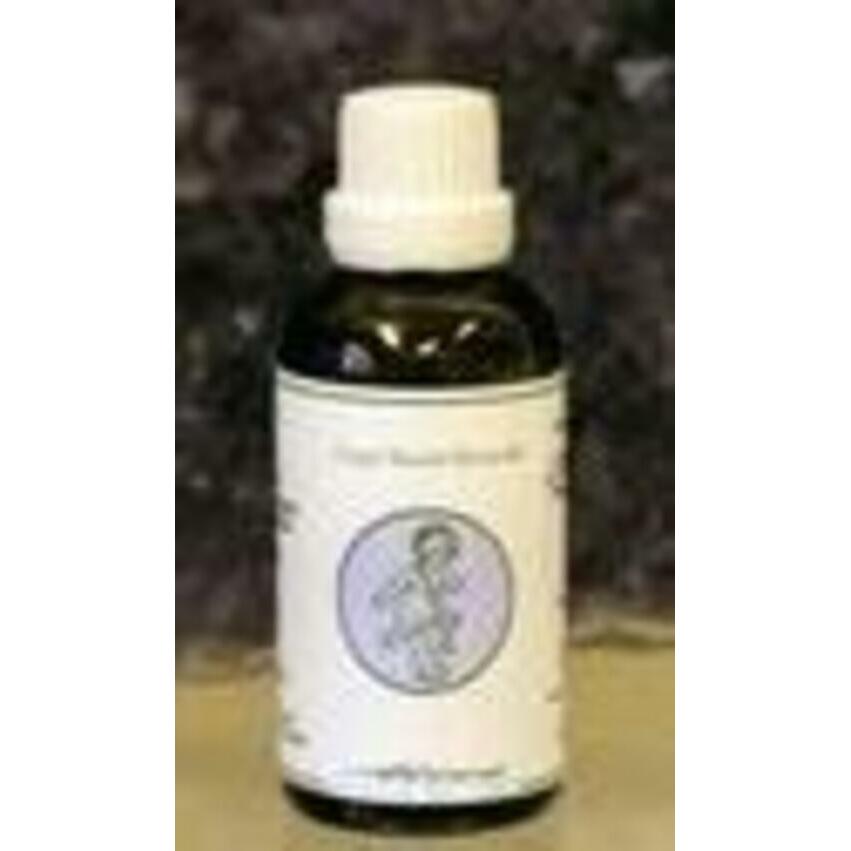 Alive ENG10 Engel shekinah voor eenheid 50ml