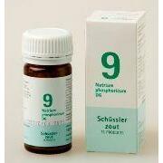 Pfluger Natrium phosphoricum 9 D6 Schussler 100tb