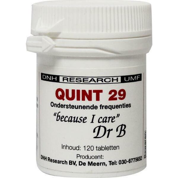 DNH Quint 29 120tb