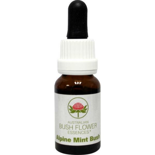 Australian Bush Alpine mint bush 15ml
