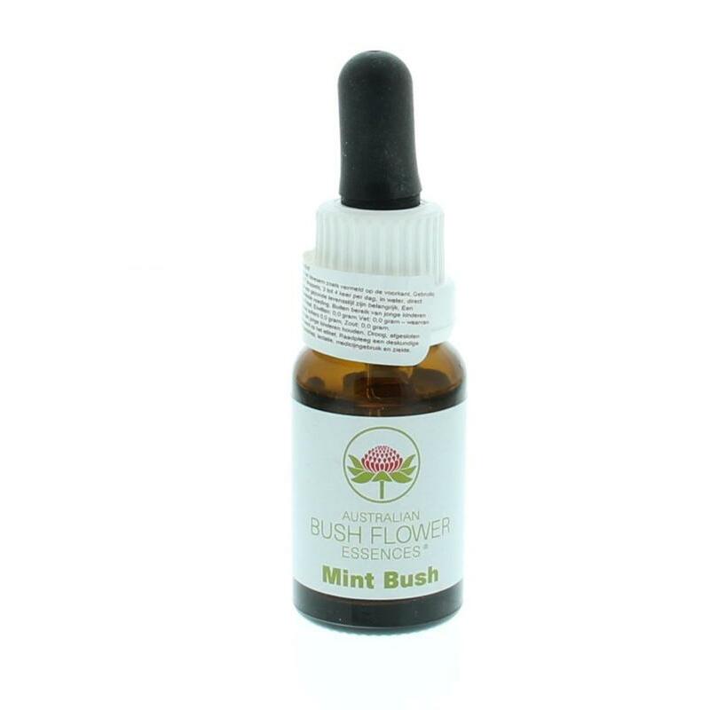 Australian Bush Mint bush aust bush 15ml