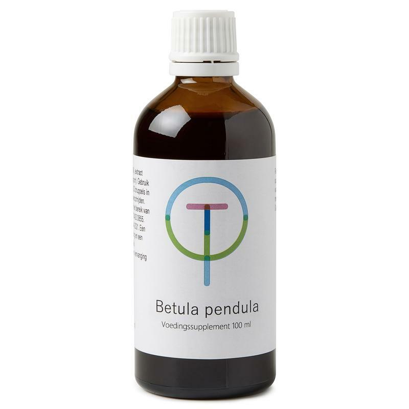 TW Betula pendula ruwe berk 100ml