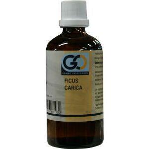 GO Ficus carica bio 100ml