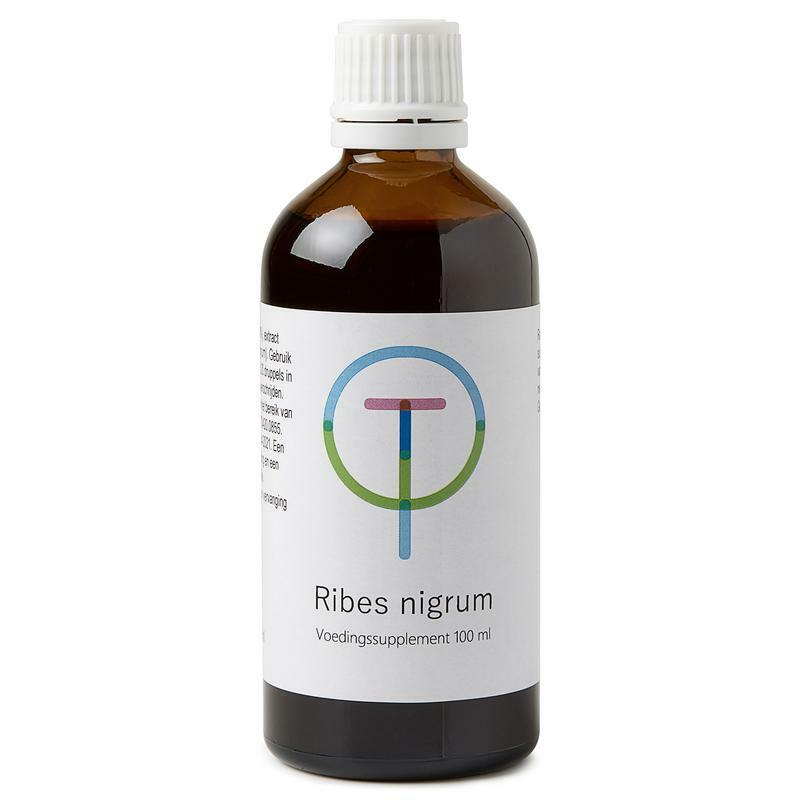 TW Ribes nigrum zwarte bes 100ml