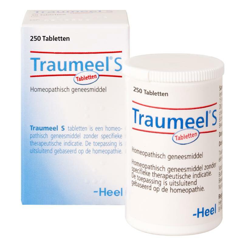Heel Traumeel S 250tb