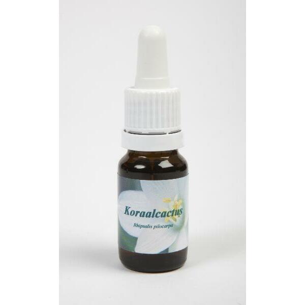 Star Remedies Koraalcactus 10ml