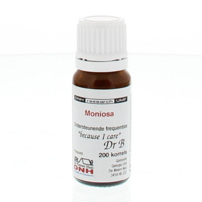 DNH Moniosa 200st