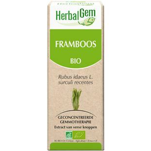 Herbalgem Frambozenstruik rubus idaeus 50ml