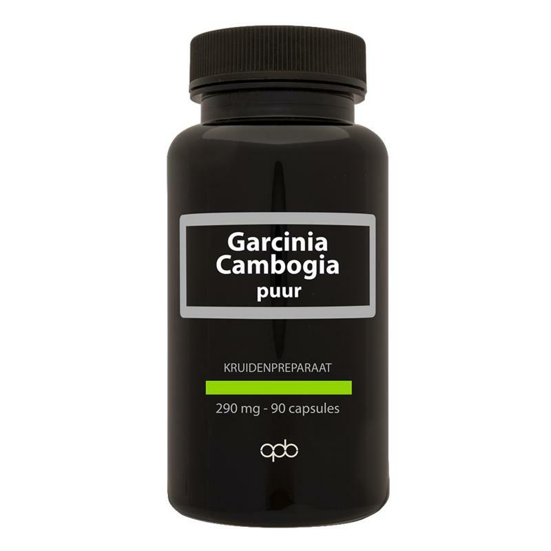 Apb Holland Garcinia cambogia 290 mg puur 90vc