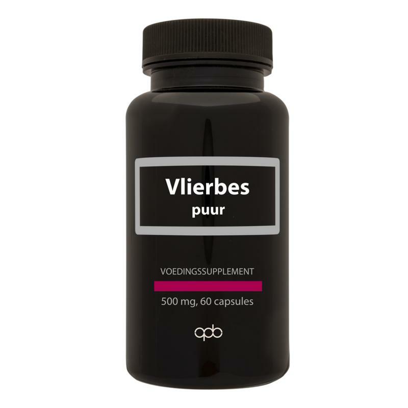 Apb Holland Vlierbes / Sambucus nigra 500 mg puur 60vc
