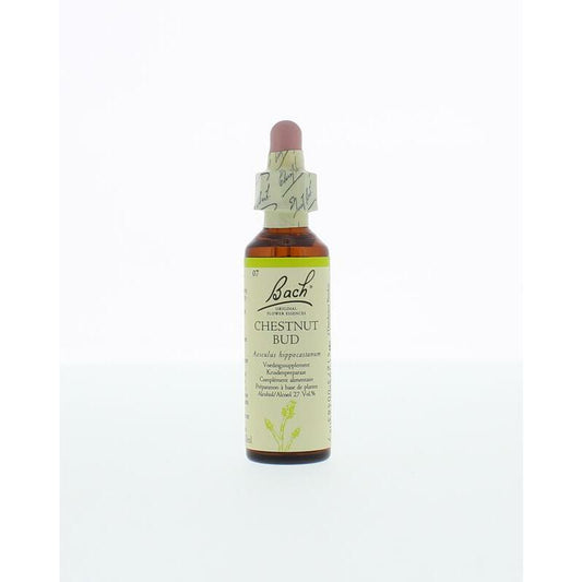 Bach Chestnut bud / kastanjeknop 20ml