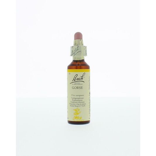 Bach Gorse / gaspeldoorn 20ml