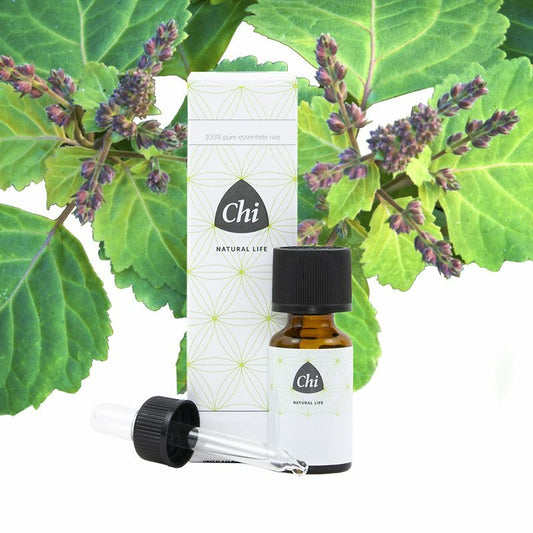 CHI Patchouli cultivar 10ml