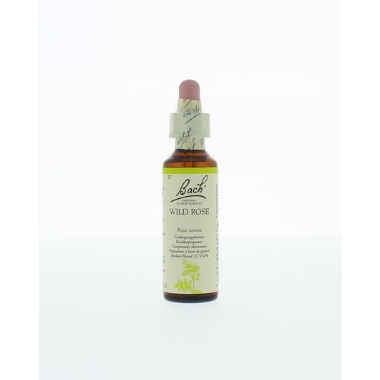 Bach Wild rose / hondsroos 20ml