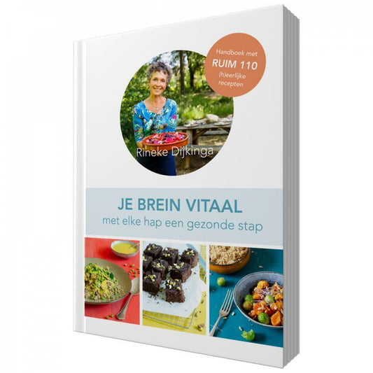 Rineke Books Je brein vitaal boek