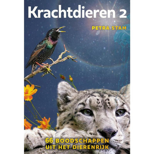 A3 Boeken Krachtdieren 2 kaartenset 1set
