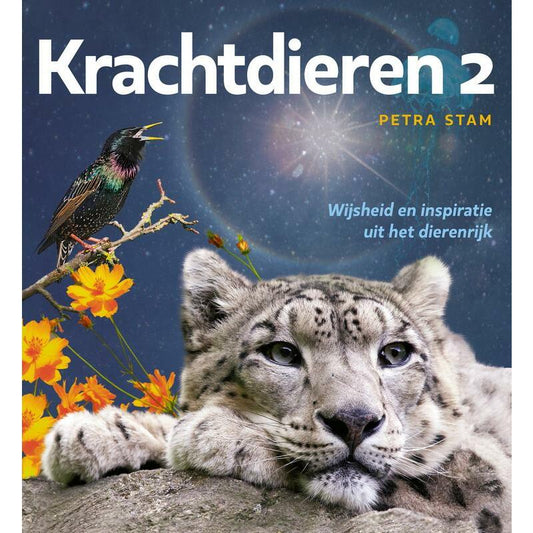 A3 Boeken Krachtdieren 2 - wijsheid en inspiratie dierenrijk boek