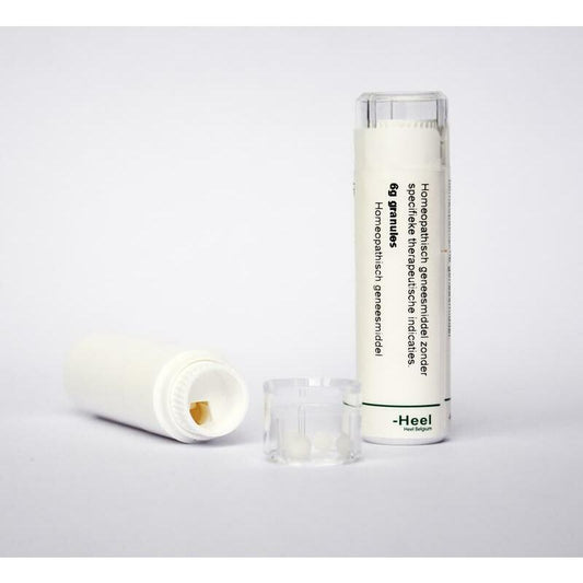 Homeoden Heel Hyoscyamus niger 30K 6g
