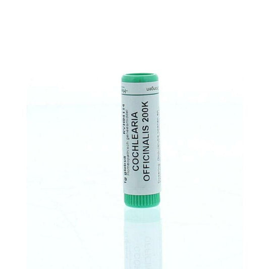 Homeoden Heel Cochlearia officinalis 200K 1g