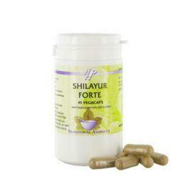 Holisan Shilayur forte 45vc