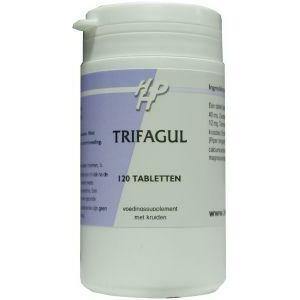 Holisan Trifagul 120tb