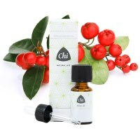 CHI Wintergreen wild 10ml