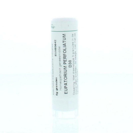 Homeoden Heel Eupatorium perfoliatum D30 6g