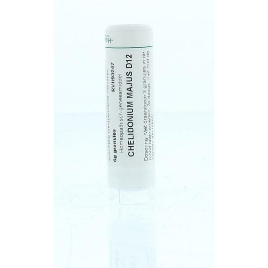 Homeoden Heel Chelidonium majus D12 6g