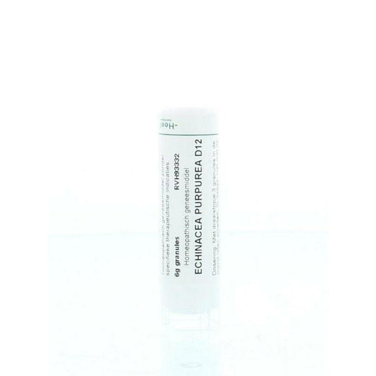 Homeoden Heel Echinacea purpurea D12 6g