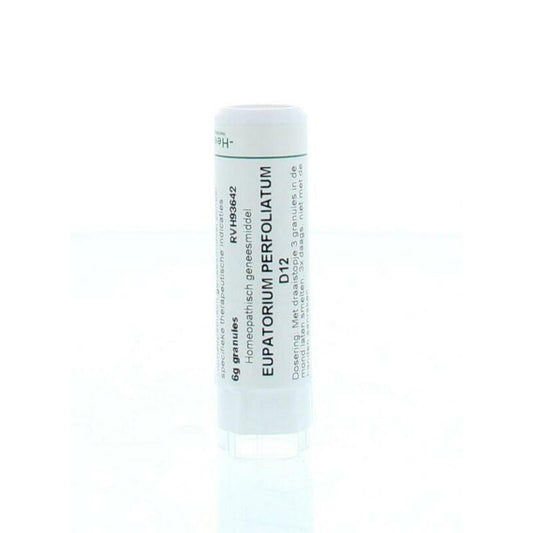 Homeoden Heel Eupatorium perfoliatum D12 6g