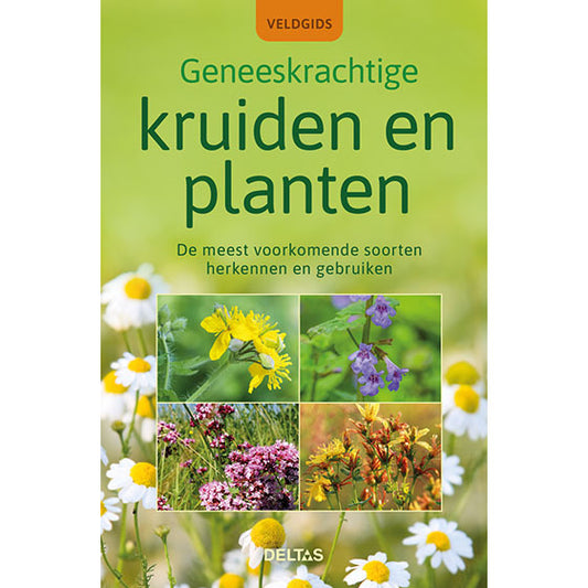 Deltas Veldgids geneeskrachtige kruiden en planten boek