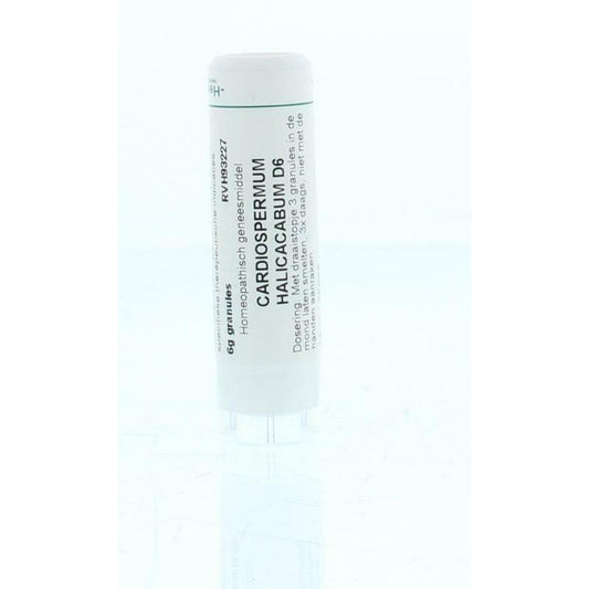 Homeoden Heel Cardiospermum halicacabum D6 6g