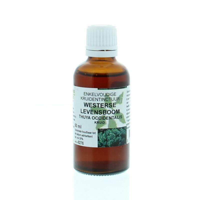 Natura Sanat Thuja occidentalis / levensboom tinctuur 50ml