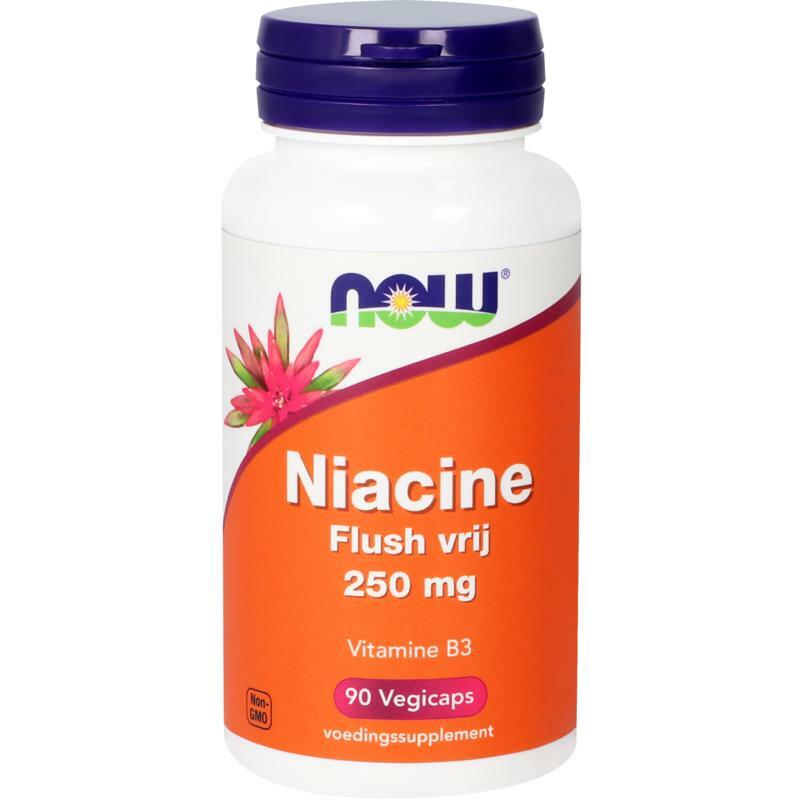 NOW Niacine flush vrij 250 mg 90ca