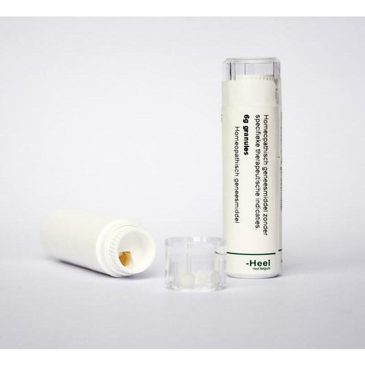 Homeoden Heel Arsenicum iodatum LM12 6g