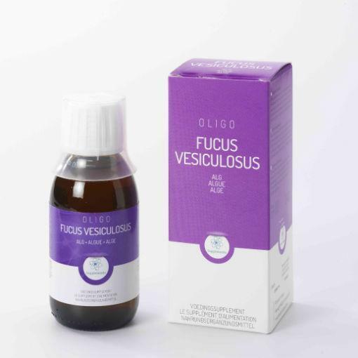 Oligoplant Fucus 120ml