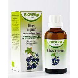 Biover Ribes nigrum bio 50ml