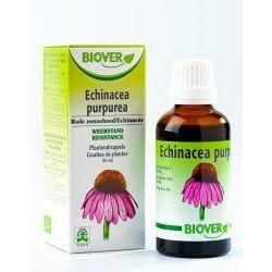 Biover Echinapurpurea tinctuur bio 50ml