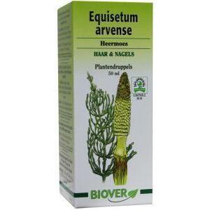 Biover Equisetum arvense tinctuur bio 50ml