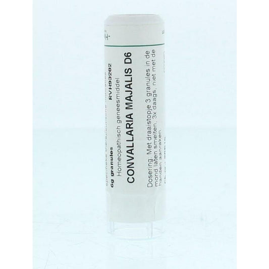 Homeoden Heel Convallaria majalis D6 6g