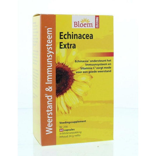 Bloem Echinacea 60ca