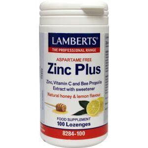 Lamberts Zink (zinc) plus 100zt